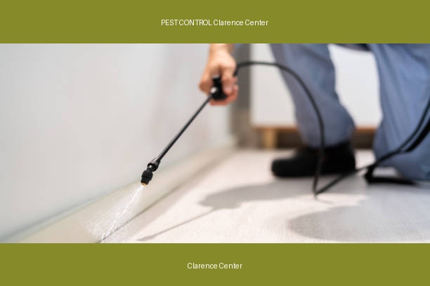 PEST CONTROL Clarence Center